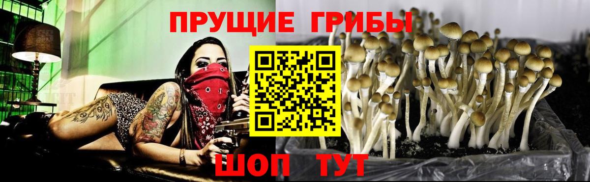 Псилоцибиновые грибы GOLDEN TEACHER  Вход с VPN  Кинешма 